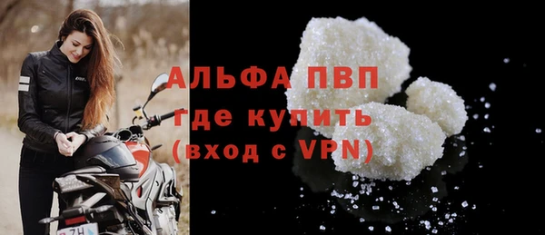 стафф Богданович