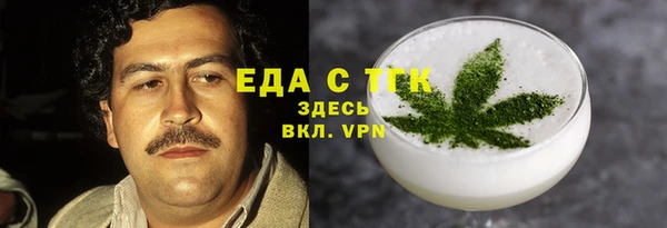 шишки Слюдянка