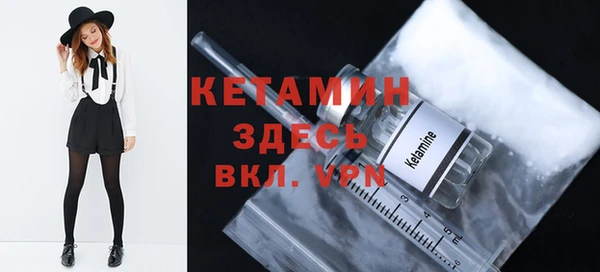 шишки Слюдянка