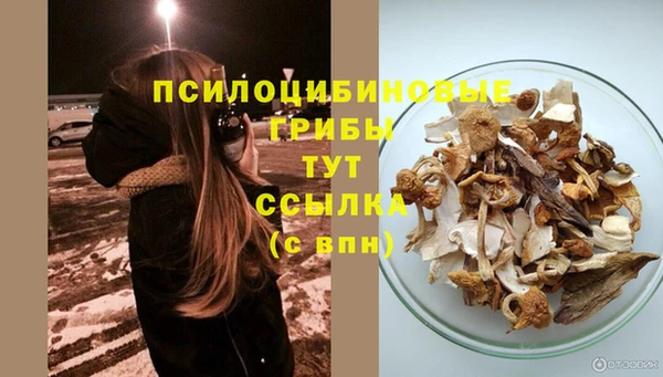 дживик Богородицк