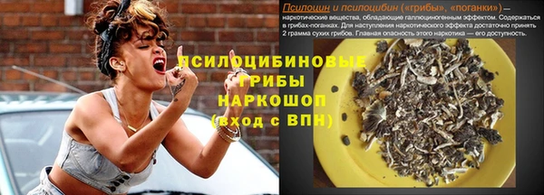 стафф Богданович