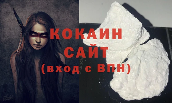 дживик Богородицк