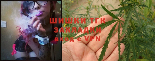 стафф Богданович