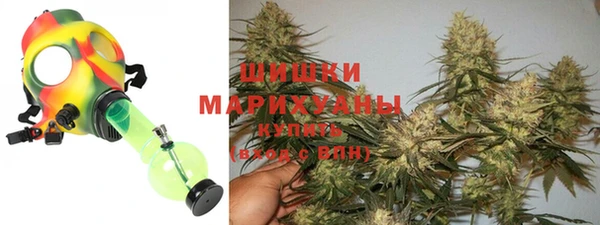 дживик Богородицк