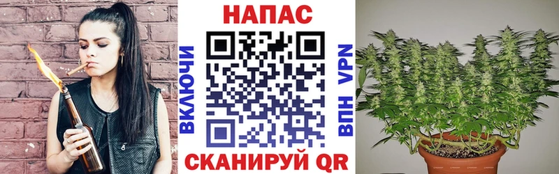 Марихуана ГИДРОПОН  Донской 